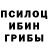 Галлюциногенные грибы Cubensis Emperor Raidou