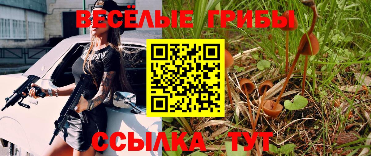 Галлюциногенные грибы Psilocybe Белорецк